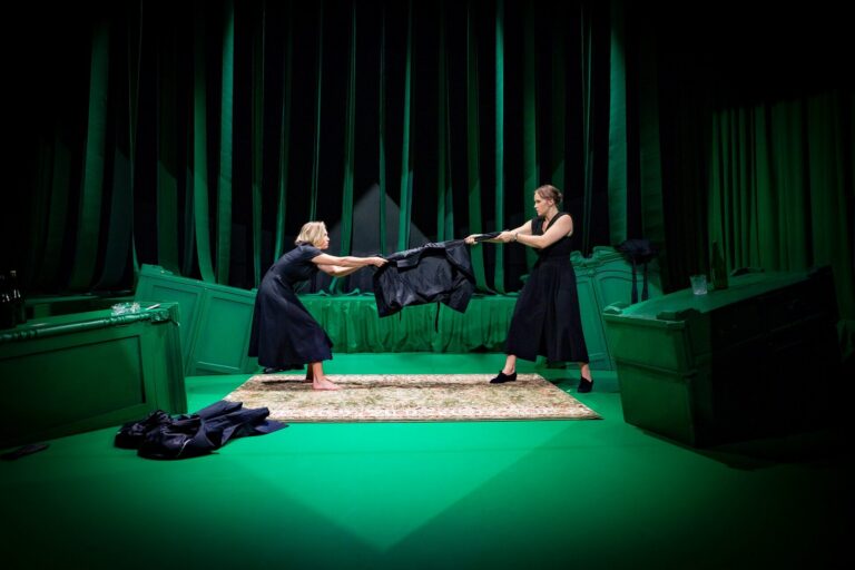 Gardenia. Photo by Arkadiy Statsenko