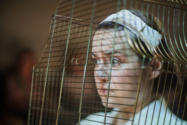 Värviline lähivaates portreefoto naistegelasest. Tema pead ja õlgu ümbritseb kuldset värvi linnupuur. Tal on peas valge peapael, tema pilk on murelik ning suunatud kaugusesse.